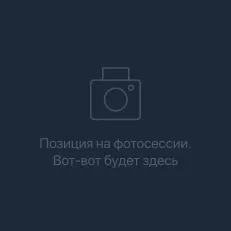 DP Подвижное стекло двери